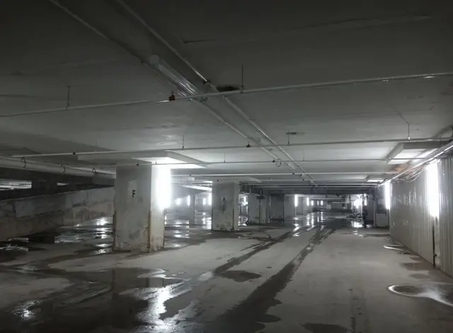Profile image of Back room