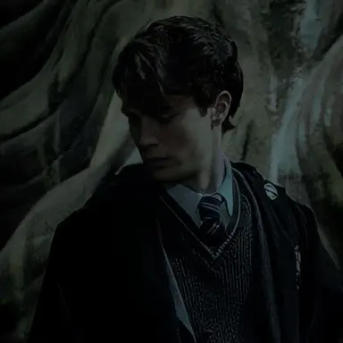 Profile image of Tom riddle