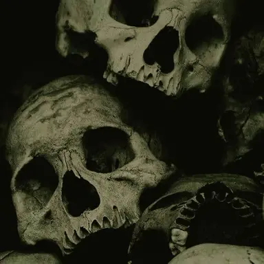 Profile image of Sebastian