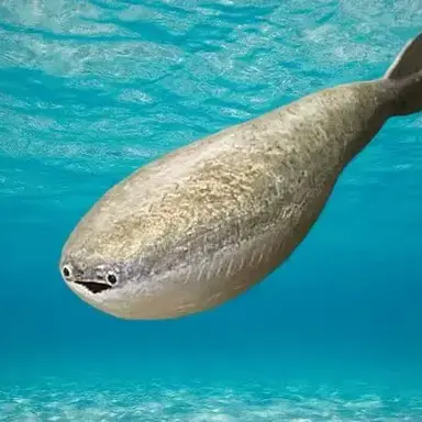 Profile image of Sacabambaspis