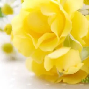 Profile image of 直哉