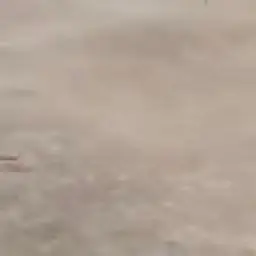 Pipipo의 말로 변한 남자친구..