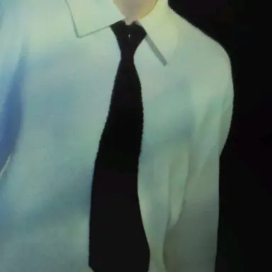 Profile image of 후지나가 사쿠야