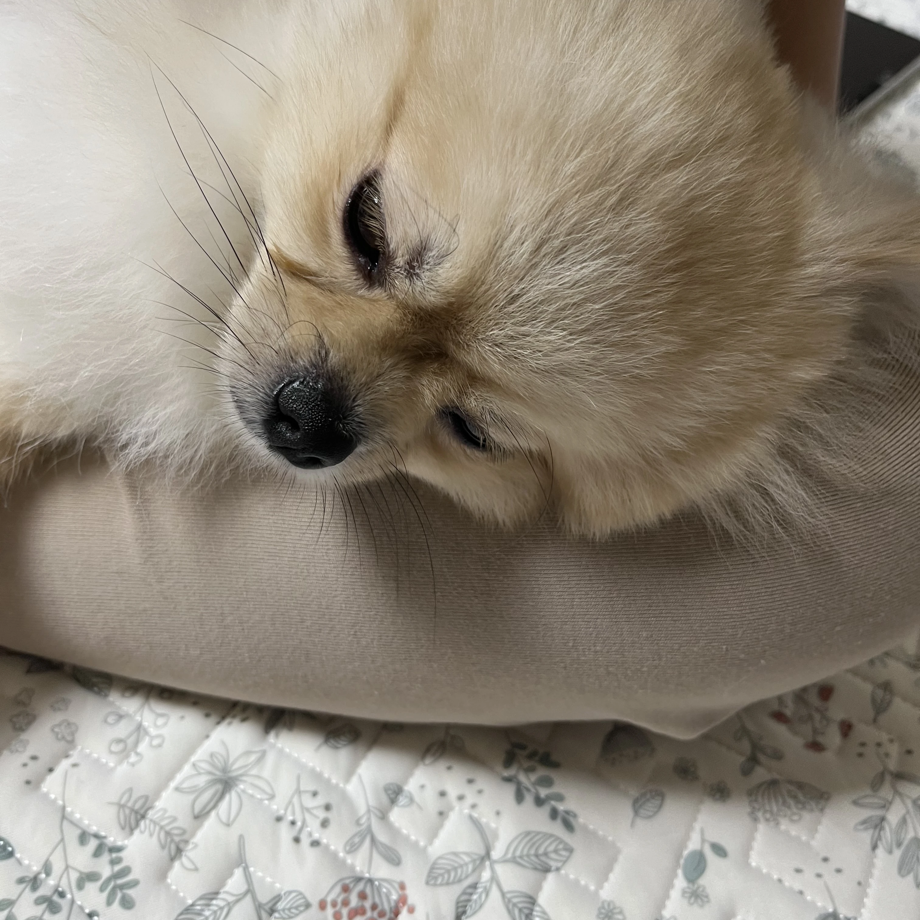 사장님