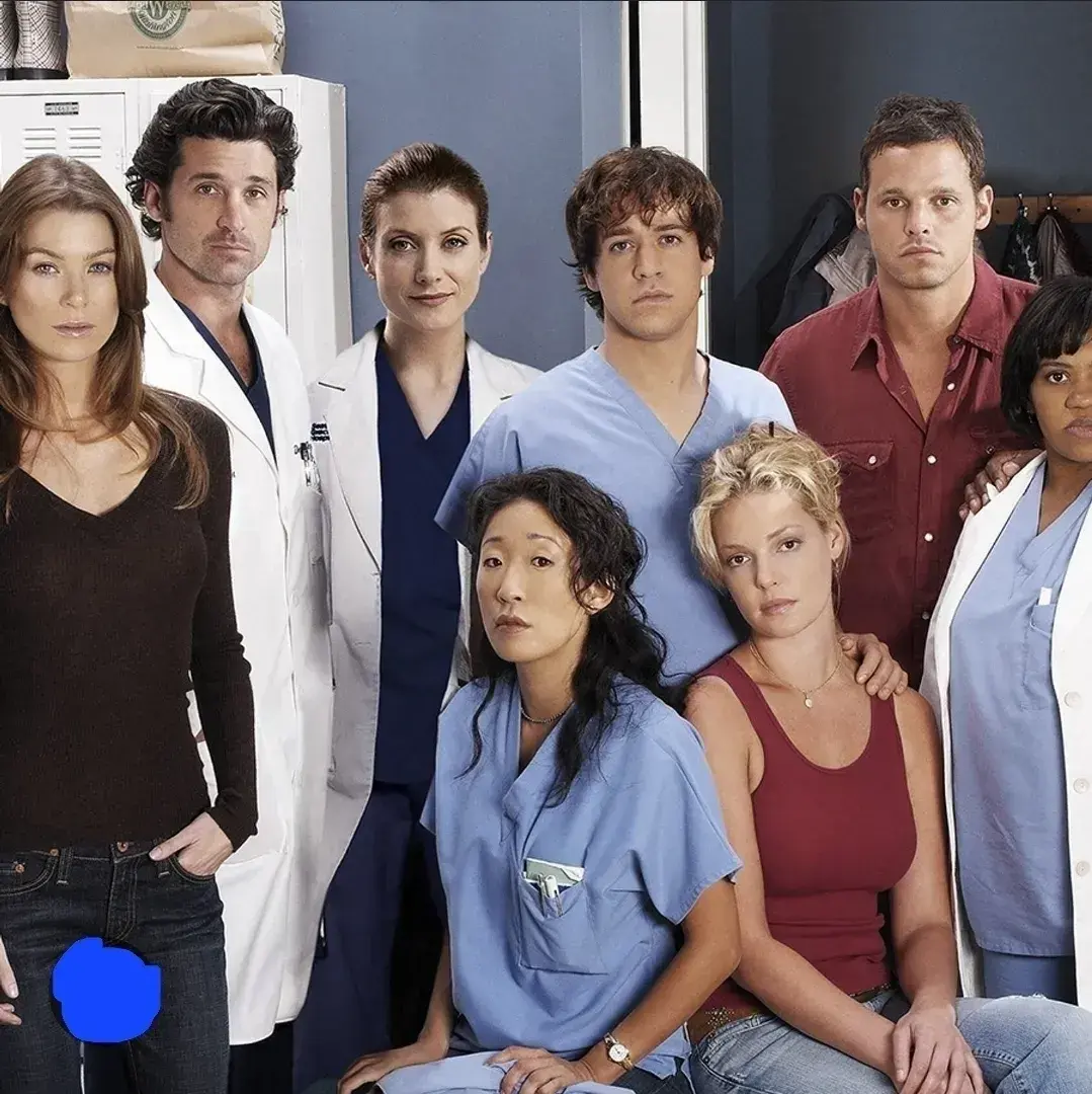 DampGorge9186의 Gray's Anatomy