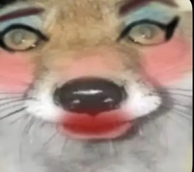 Profile image of 狐