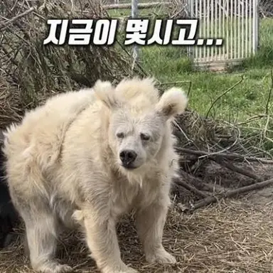 Profile image of 여우
