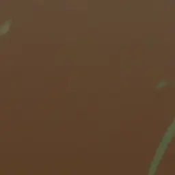 Profile image of ブリ子