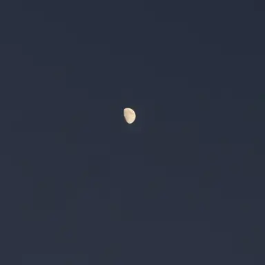 Profile image of 아린