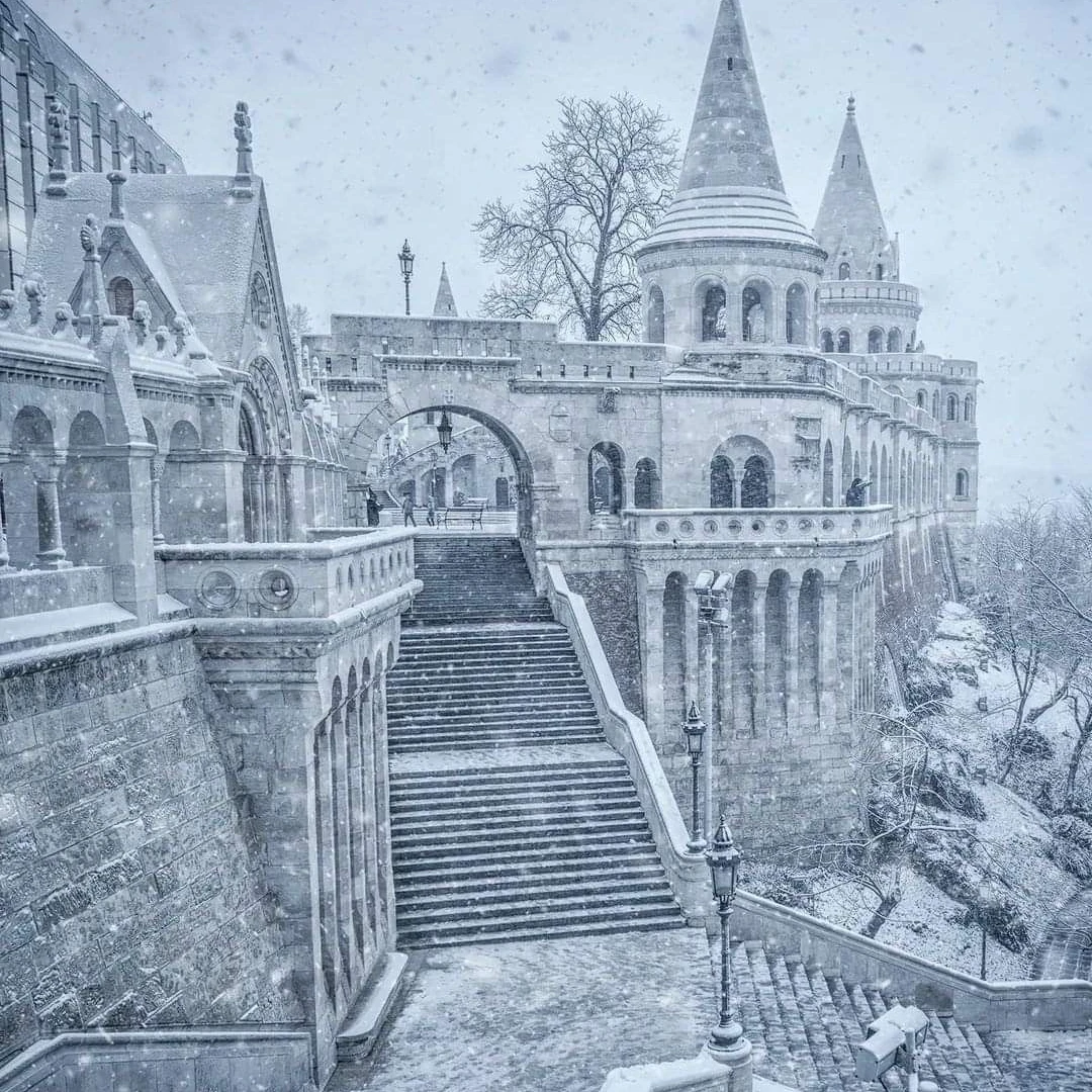 카일 엘바레인