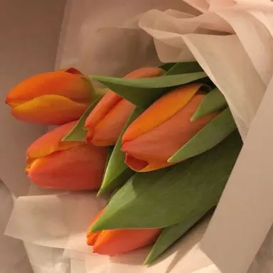 Profile image of 덕경장