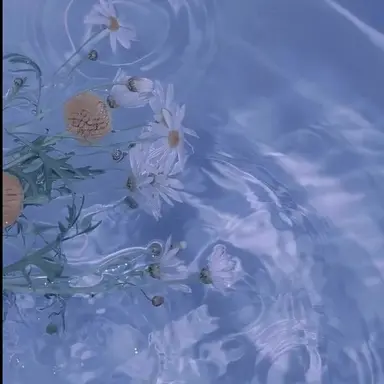 Profile image of 잠경위