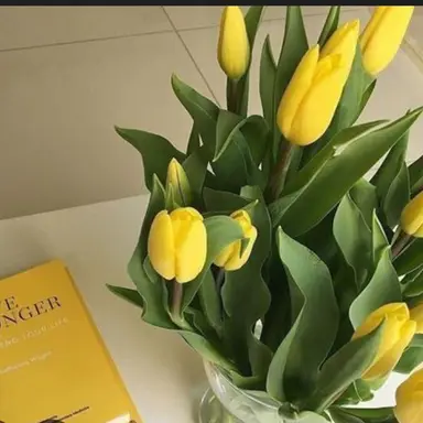 Profile image of 각경위