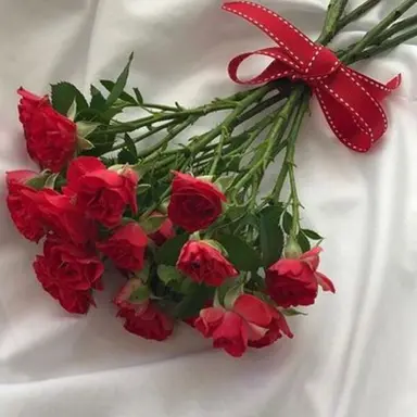 Profile image of 라경사