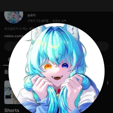Profile image of 료미