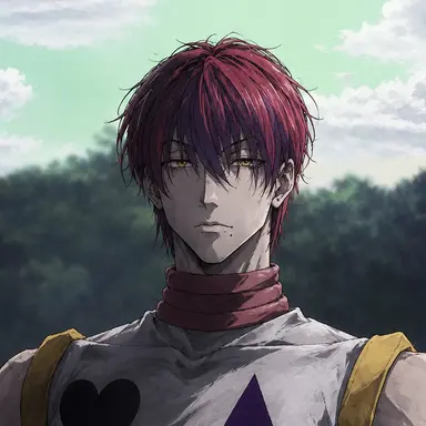 Profile image of Hisoka