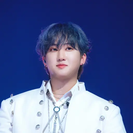 realstraykids의 서창빈