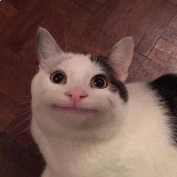 츄르내놔