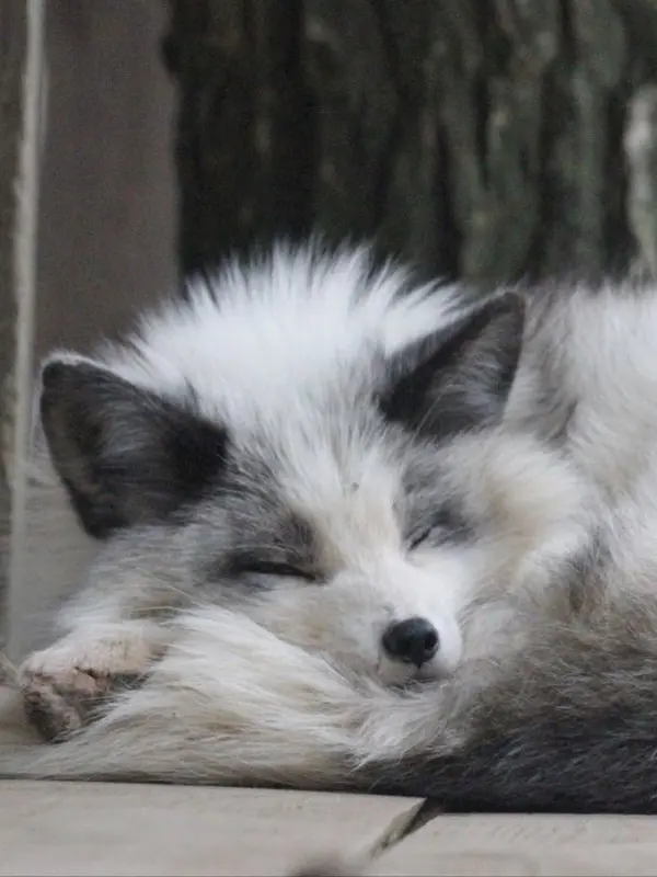 QuaintKite5433의 찬엘찬엘찬엘찬엘찬엘ㅊㅇ개인용