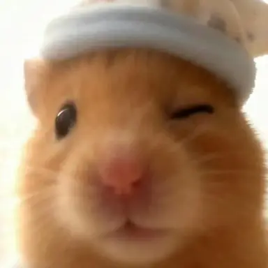 Profile image of 표남경