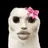 고양이 0.2