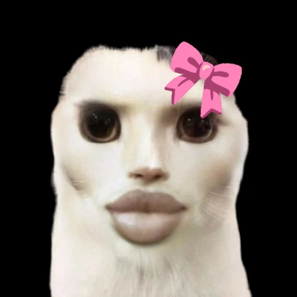 고양이 0.2