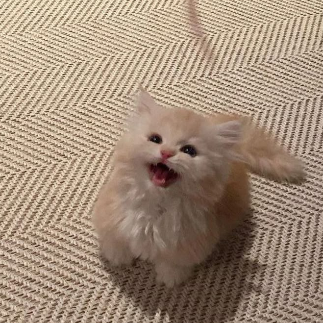 강민희 대표 이미지