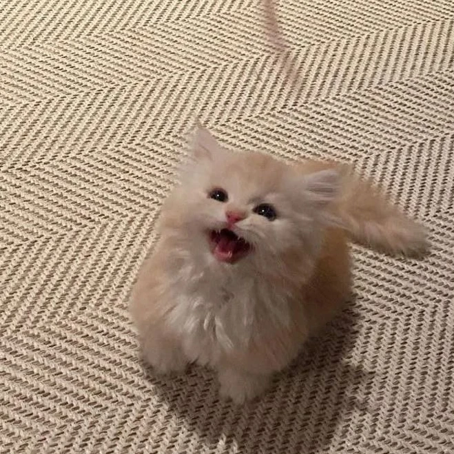 강민희