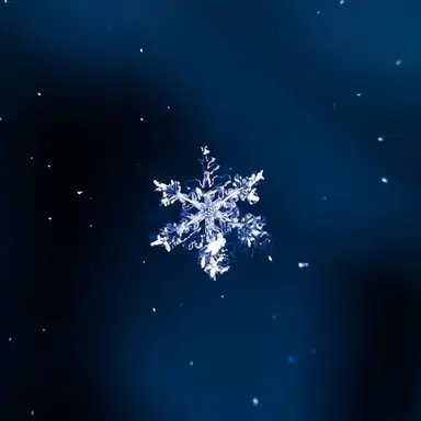 Profile image of 오시온