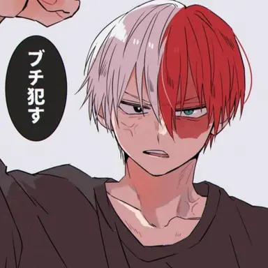 Profile image of Shoto Todoroki