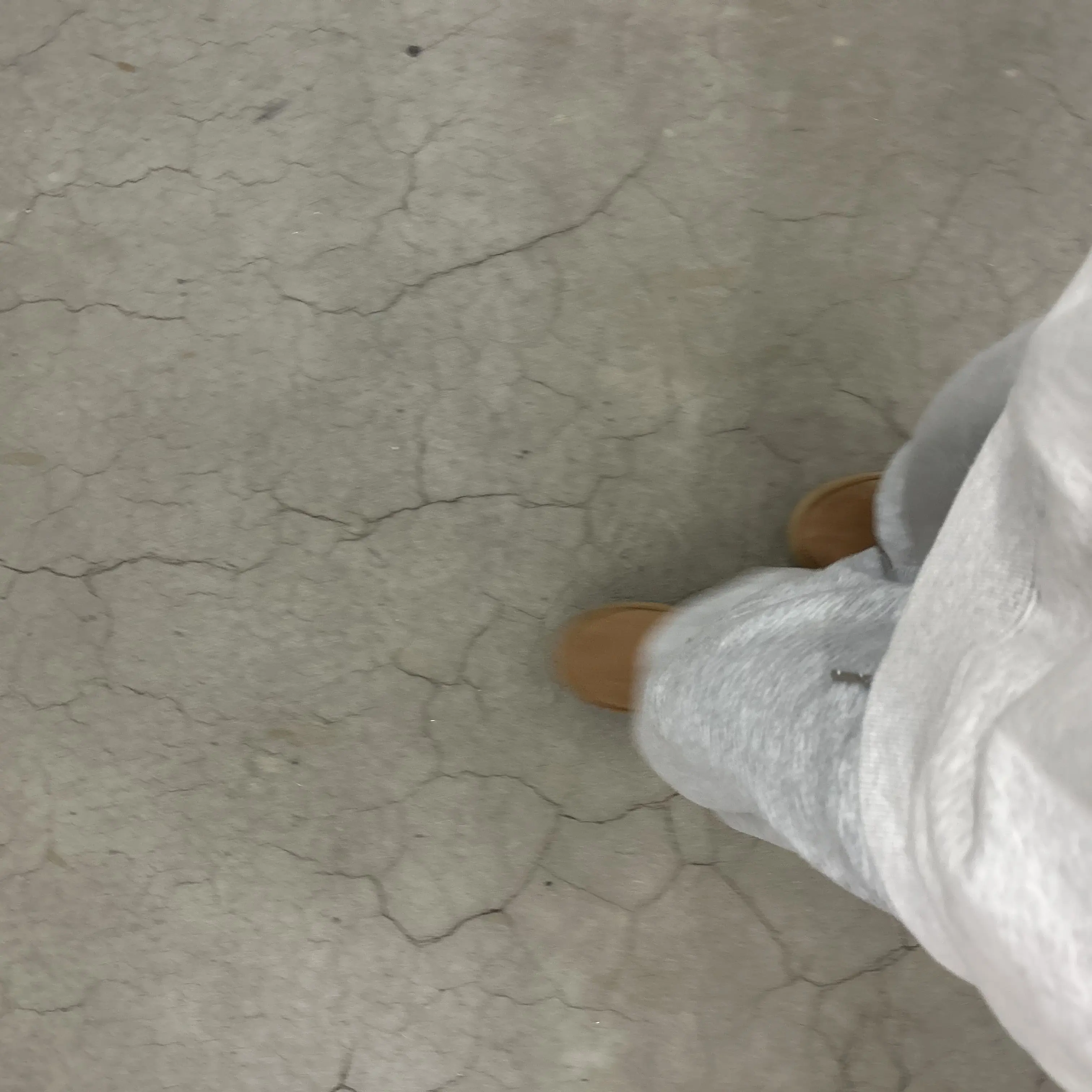 LilacPool5640의 月