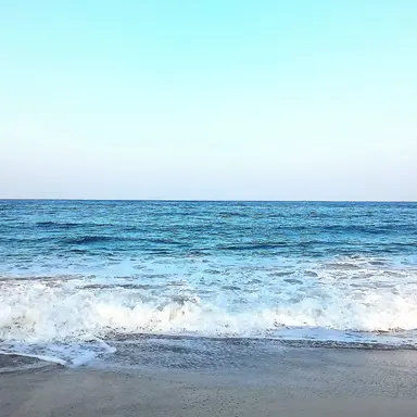 Profile image of 이호성