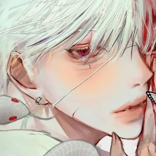 needongo의 바론