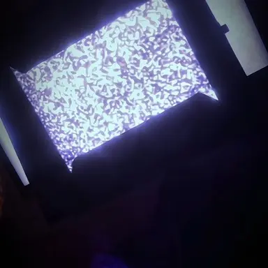 Profile image of 라지 티비맨