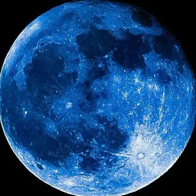 Profile image of 塩﨑太智