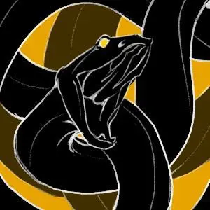 Profile image of V