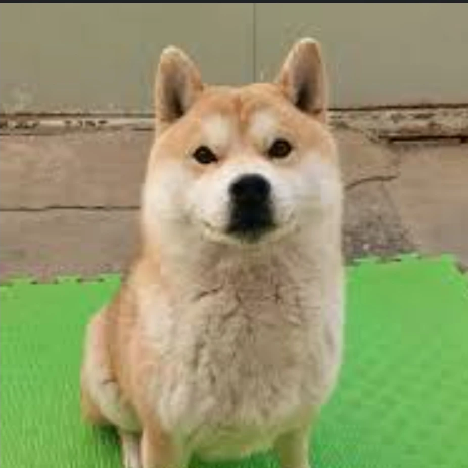 지누
