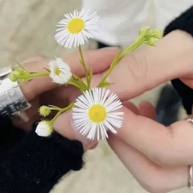 Profile image of straykids