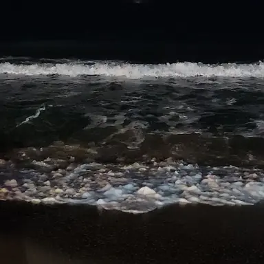 Profile image of 은다린