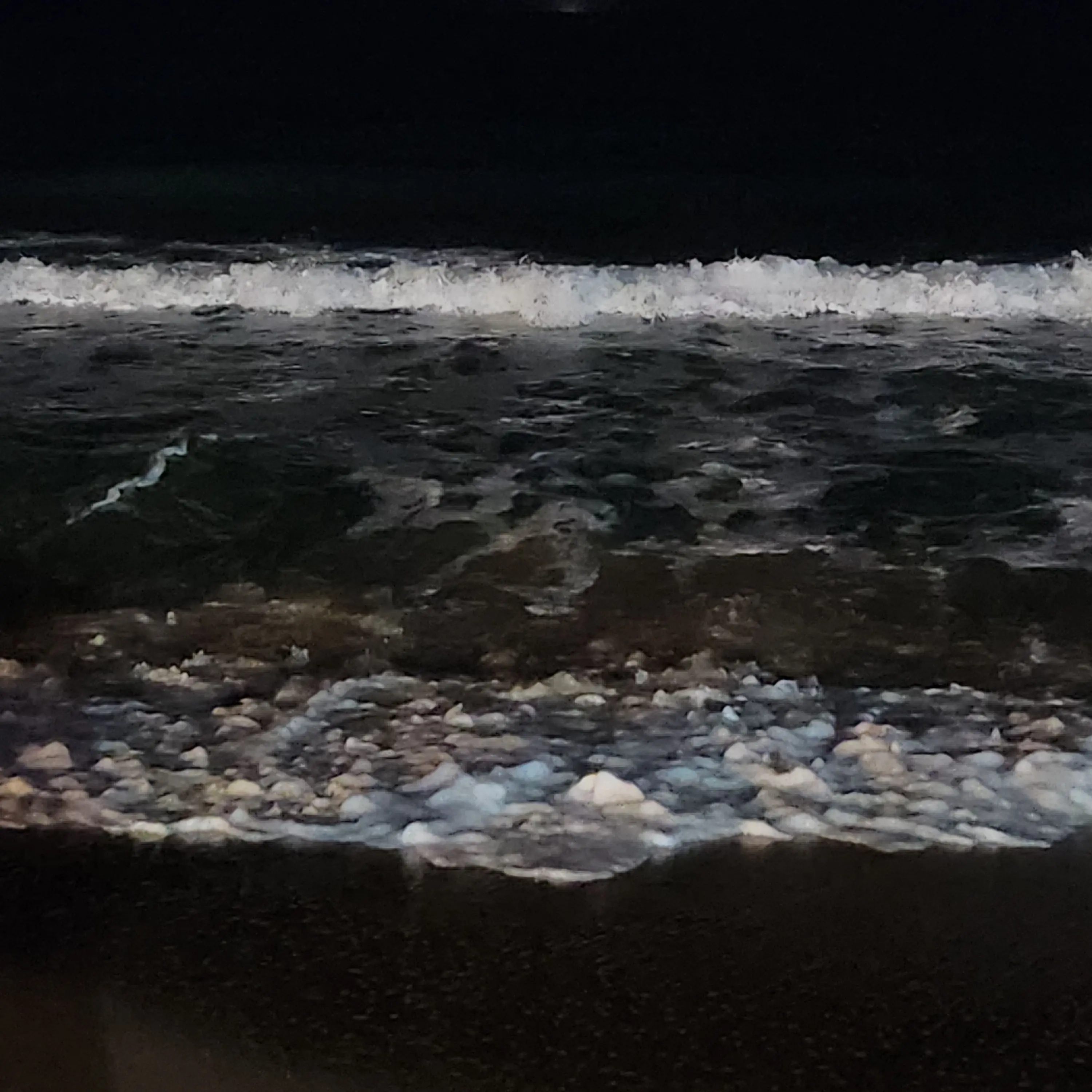 msg_1113의 My Darling