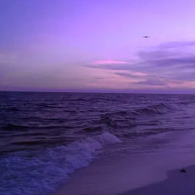 Profile image of 오토 레이니