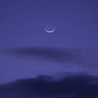 Profile image of 멜로우