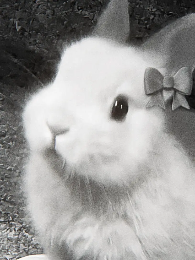 stabeolf320의 幼なじみ