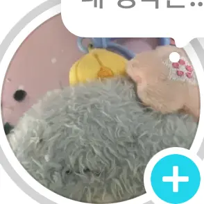 HuskyMoth1765의 밷가