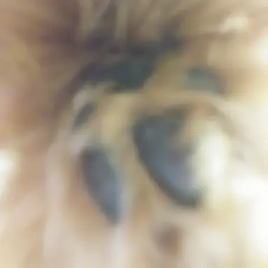 Profile image of 강한