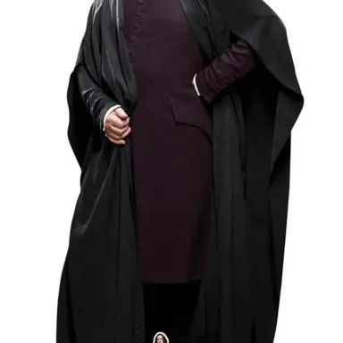 Profile image of Professor snape
