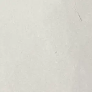 FickleSpit6590의 世界が混じった…！？