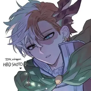 Profile image of Todoroki