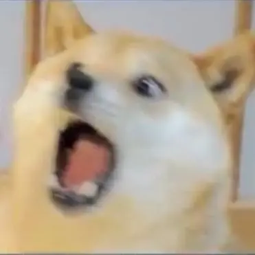 Profile image of 여우