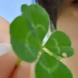 Profile image of 김재현